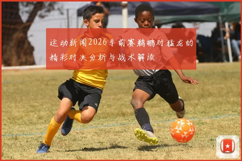 运动新闻2026季前赛鹈鹕对猛龙的精彩对决分析与战术解读