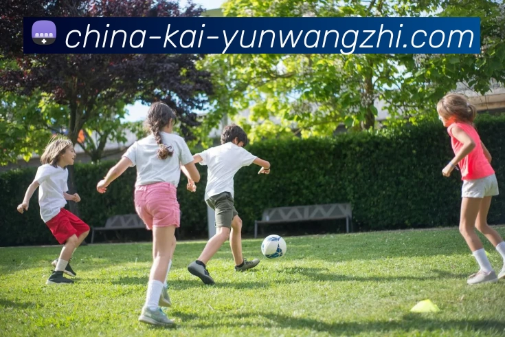 战术分析频道